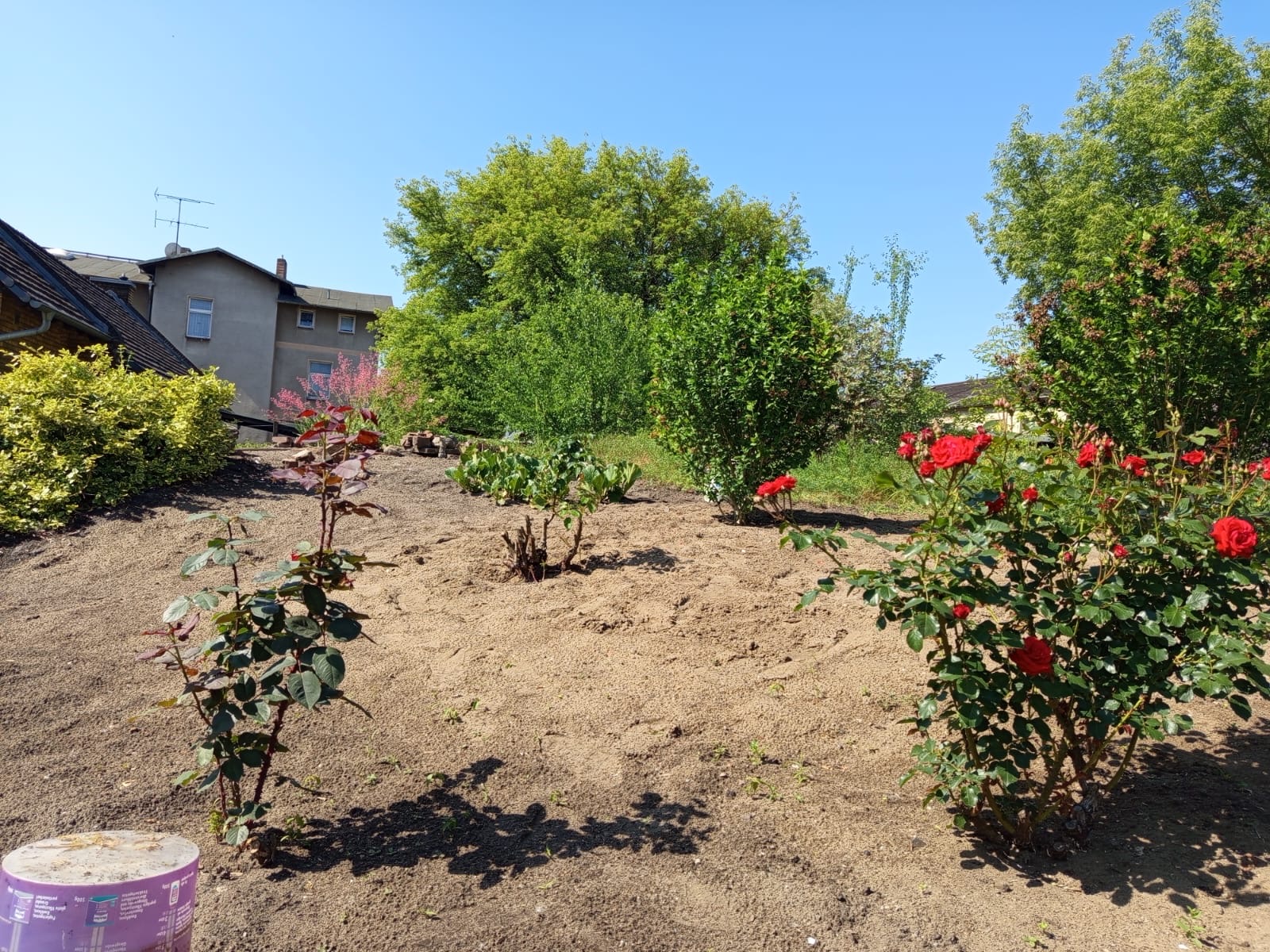 Blick über die Beete des Gartens Richtung Nachbarhäuser